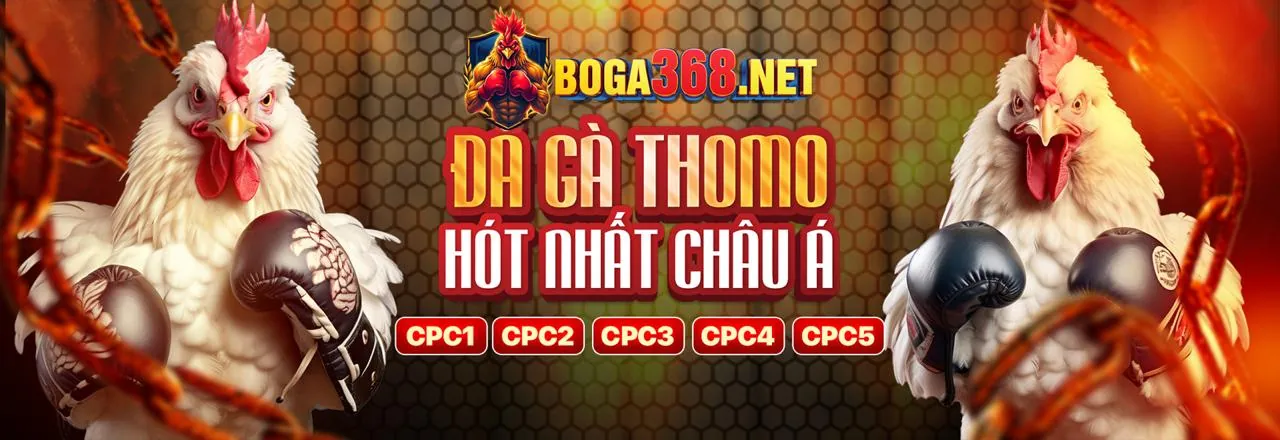 123goal code khuyến mãi