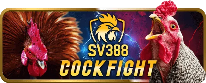 Hình ảnh đội ngũ hỗ trợ khách hàng của 123goal Code